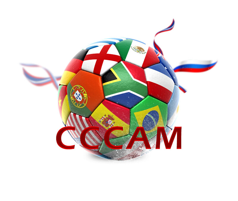 Know about the basics of OSCam server: