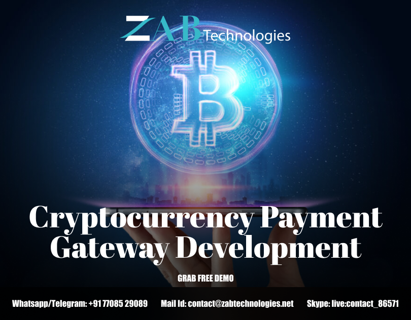 How Crypto Payment Gateway Software is the right option for startups?