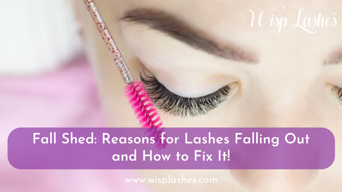 Fall Shed: Reasons for Lashes Falling Out and How to Fix It!