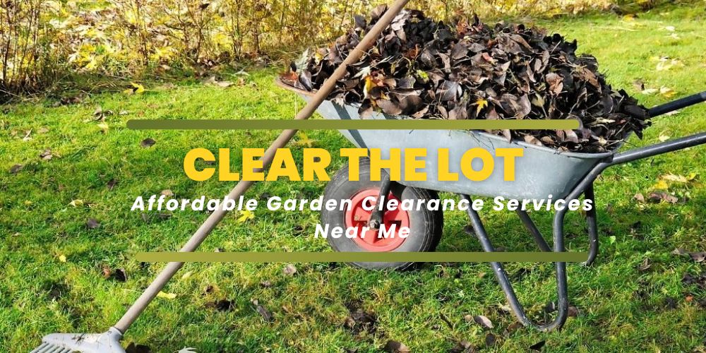 Affordable Garden Clearance Services Near Me