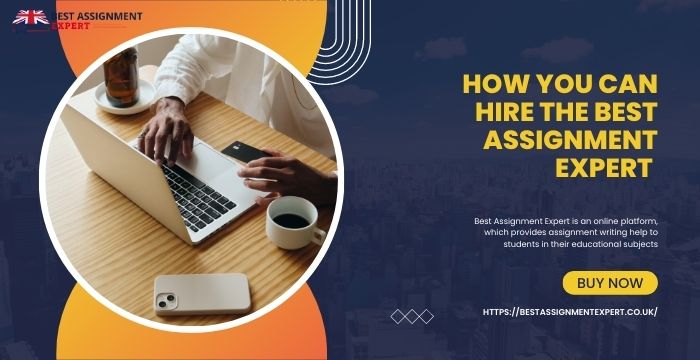 How You Can Hire the Best Assignment Expert