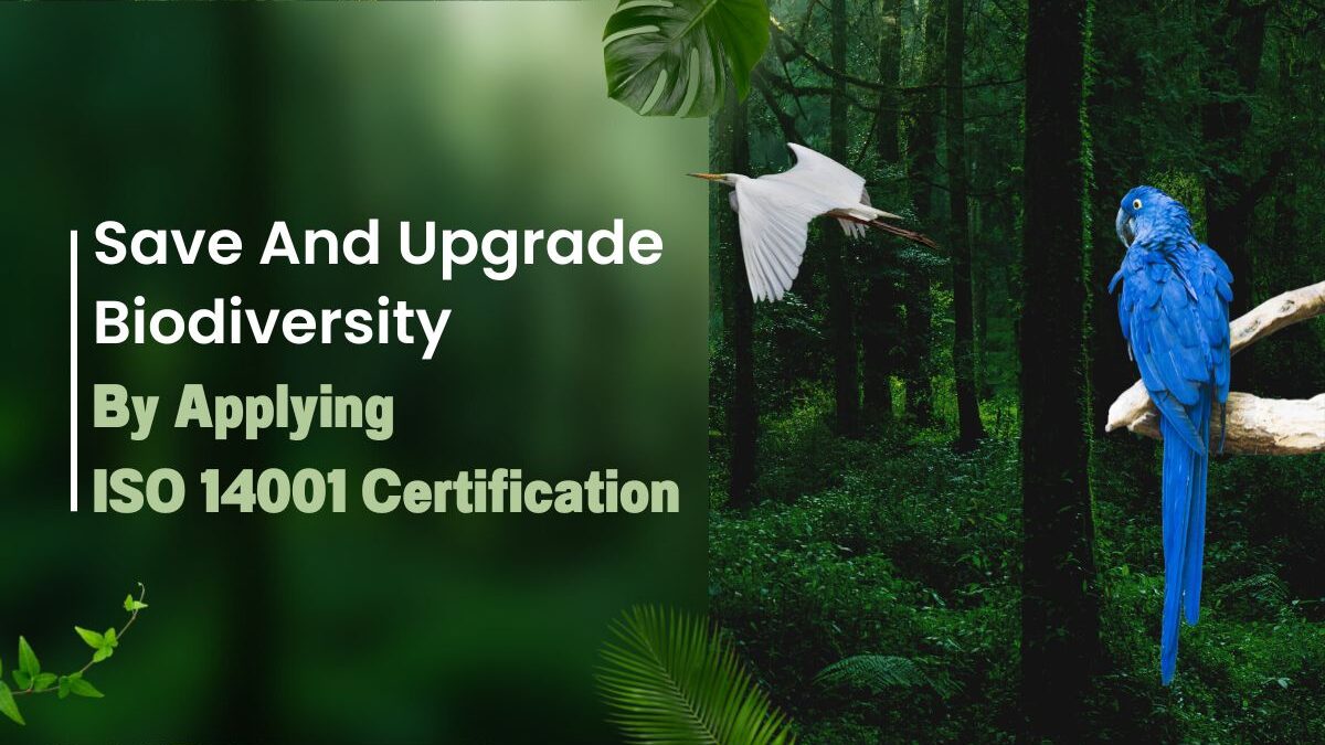 Save And Upgrade Biodiversity Performance By Applying ISO 14001 Certification