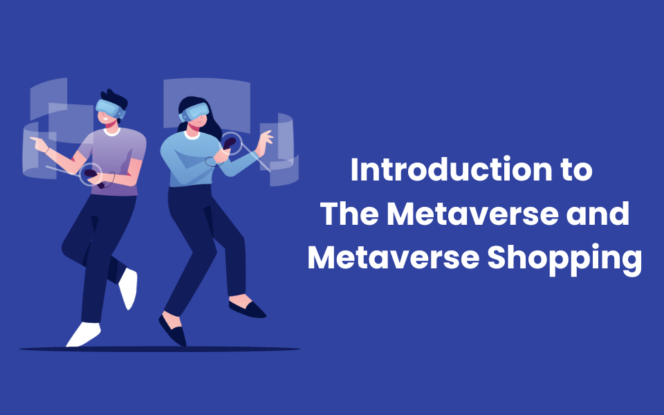 Introduction to the Metaverse and Metaverse Shopping