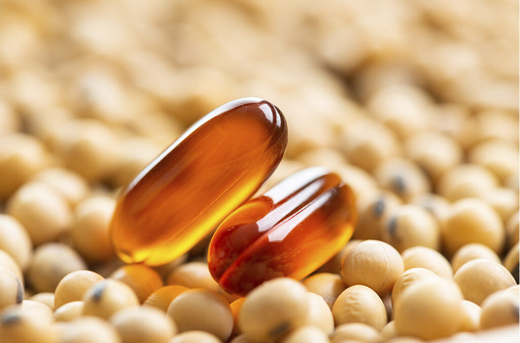Various Types Of Soy Lecithin Can Be Found In Both Conventional And Health Foood