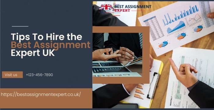 assignment expert uk