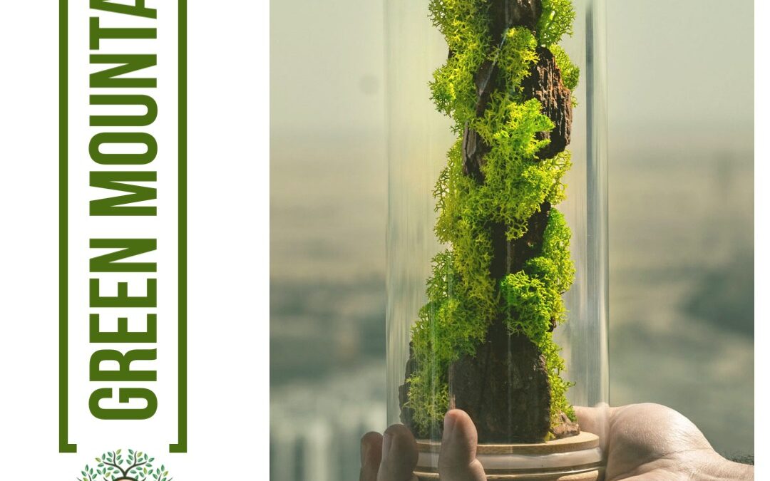 Preserved Moss: An Eco-Friendly Solution for Home Decor