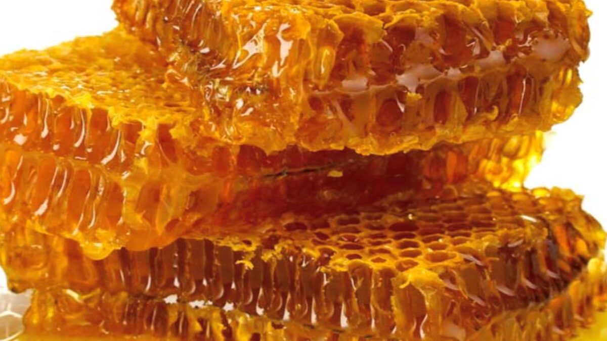 The Benefits and Considerations of Bulk Buying Honey