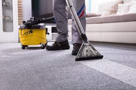 Why You Need a Carpet Cleaner