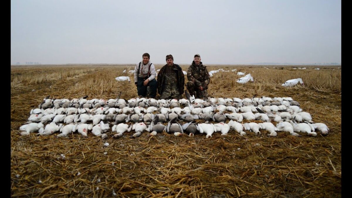 Essential Gear and Equipment for Goose Hunting: A Comprehensive Checklist