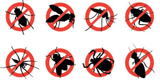 Tips for Choosing a Pest Control Company: A Valuable Guide