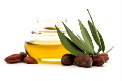 Know the beauty benefits of Jojoba oil
