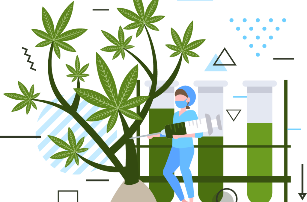 What You Need to Know About SEO for Cannabis