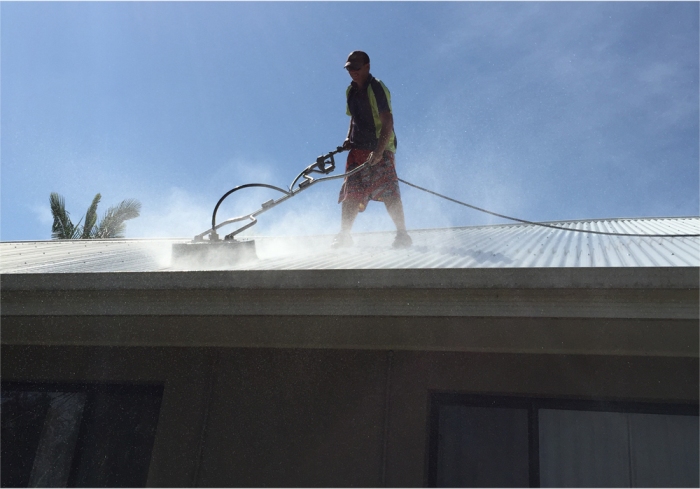The Importance of Roof Washing for a Healthy Home