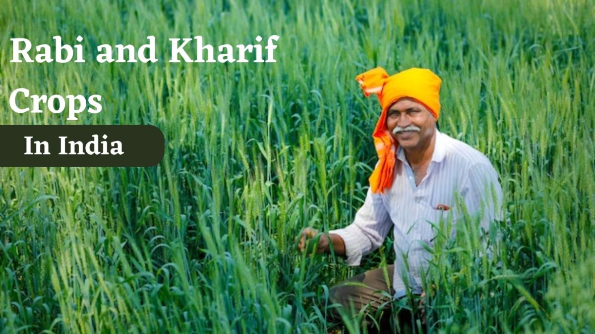 Rabi and Kharif Crops in India: Cultivating Agriculture’s Seasonal Harmon