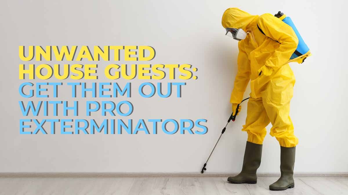 Unwanted House Guests: Get Them Out with Pro Exterminators