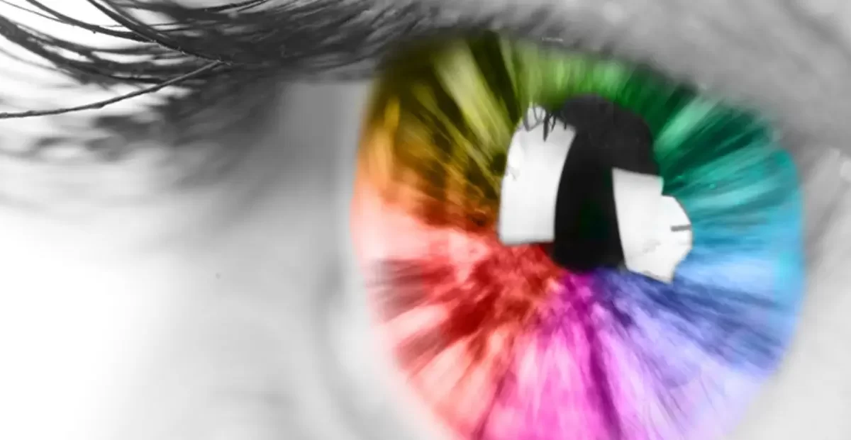 Fascinating World of Colorblindness: Can Colorblind Individuals See Red and Green?