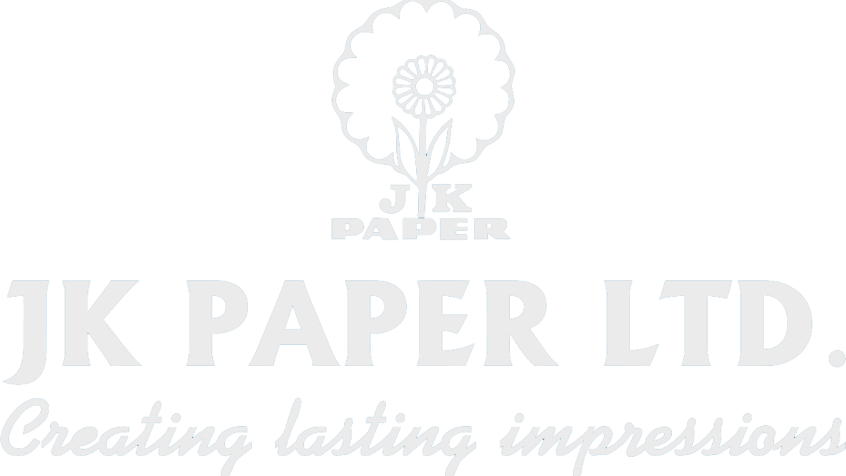 From Tree To Paper: Tales of Paper Making Process
