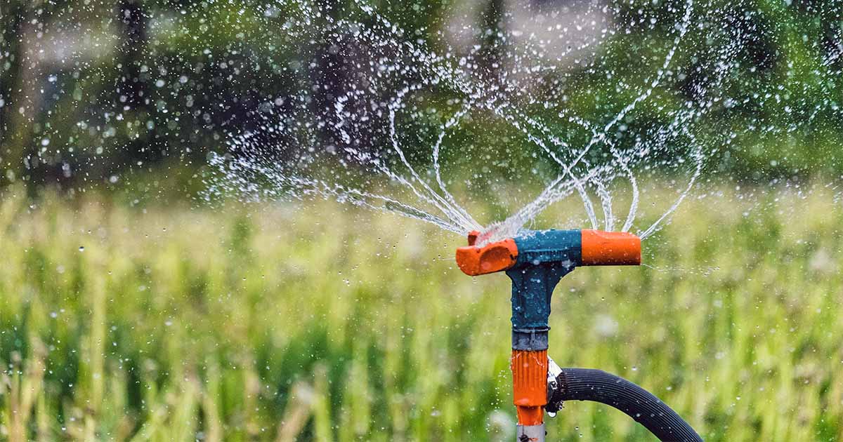 Revive Your Garden with Expert Irrigation System Installation