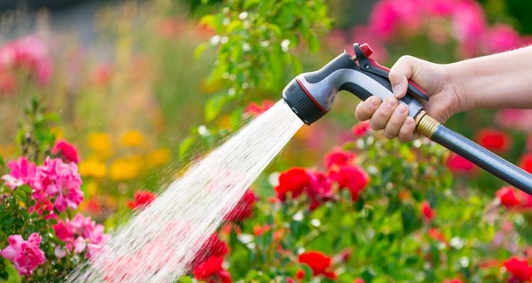 Everything You Need to Know About Garden Hoses