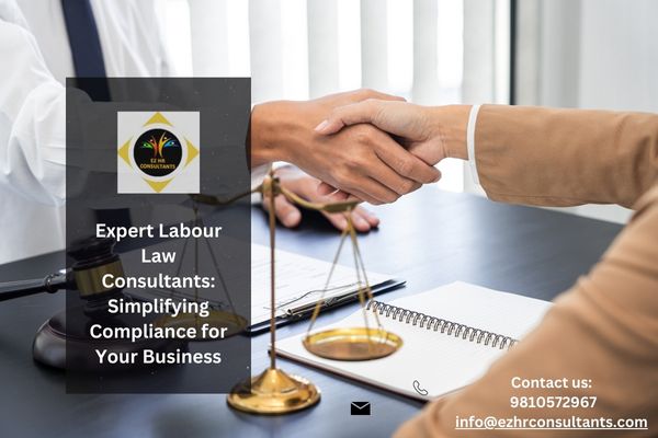 The Role of Labour Law Consultants Supportive of running businesses