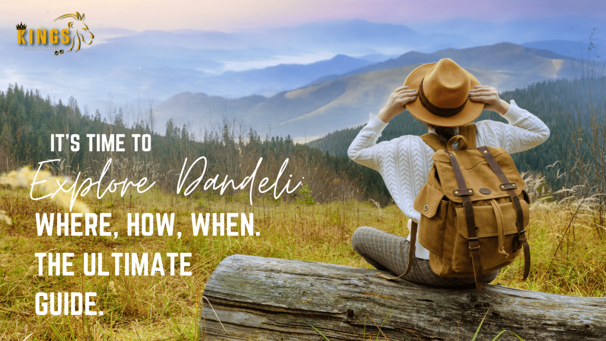 Explore Dandeli: Where, How, When. The Ultimate Guide.