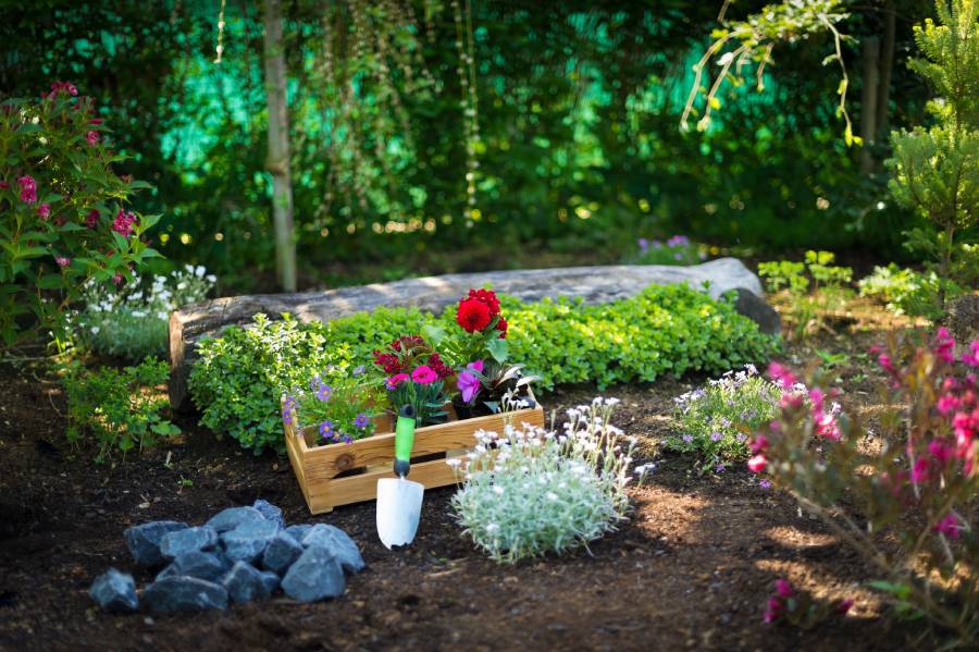 Your Trusted Gardening Services Melbourne