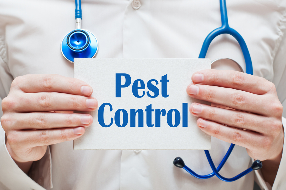 The Critical Role of Pest Control in Ensuring Food Safety in Restaurants