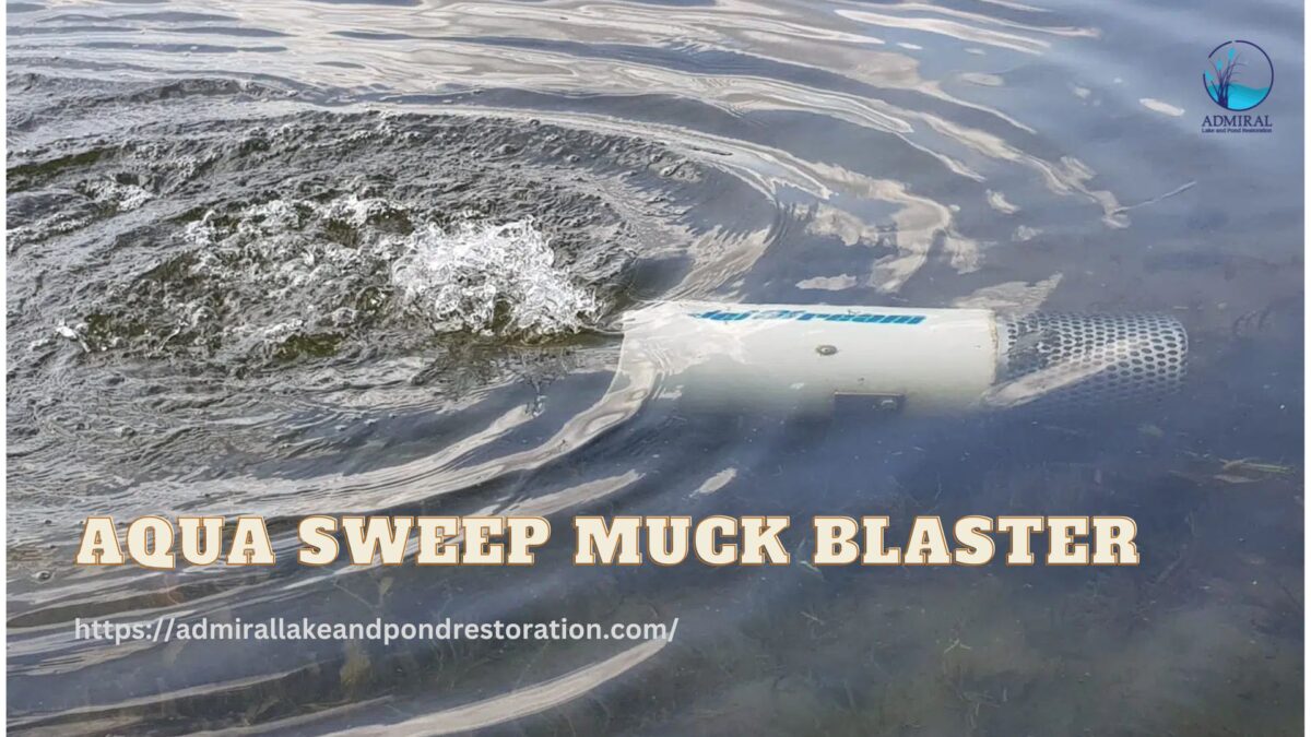 Maintain a Clean and Healthy Pond and Lake with the Aqua Sweep Muck Blaster