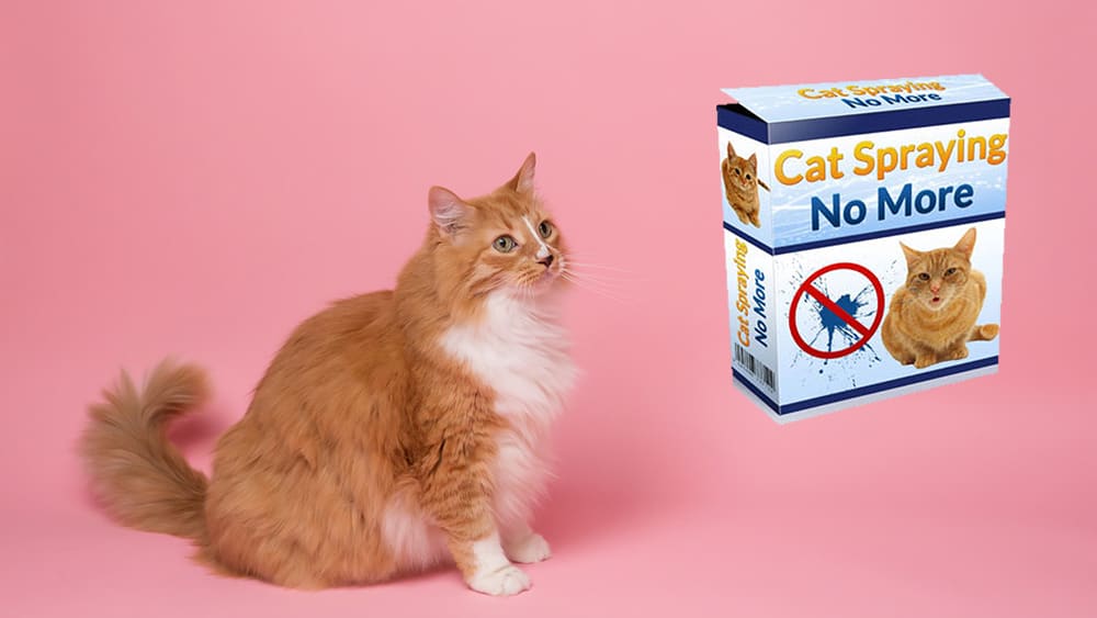 Say goodbye to cat urine smells and stains with Cat Spraying No More