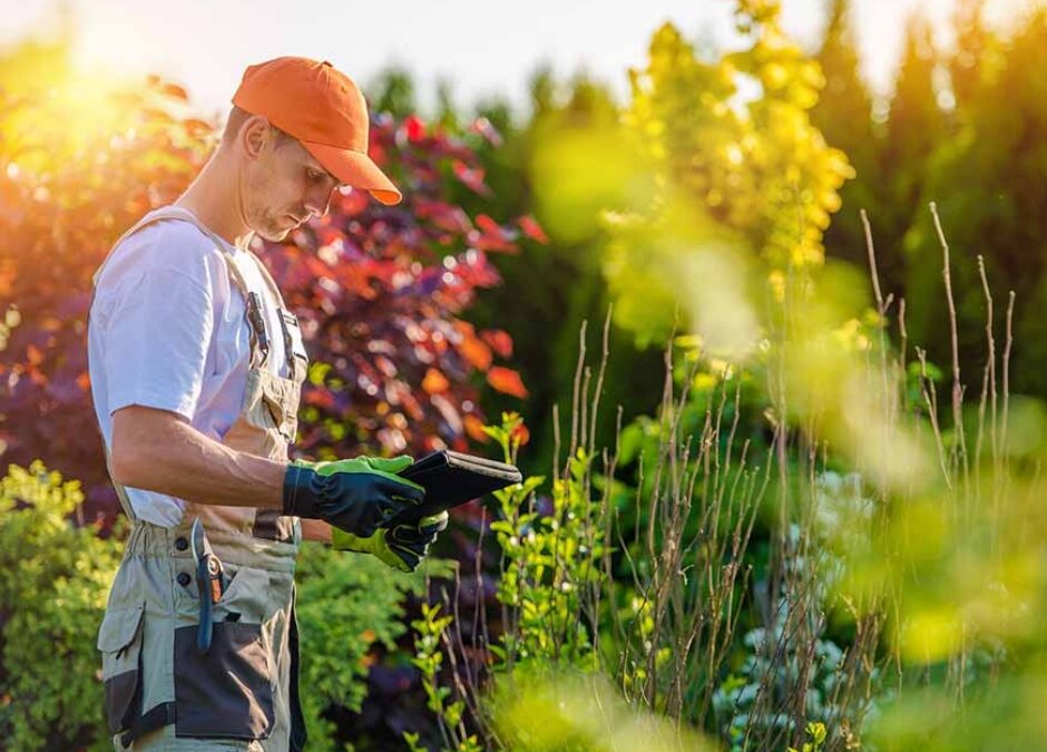 A Guide to Working with a Landscape Contractor