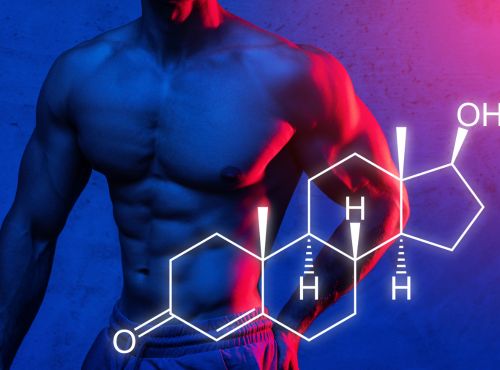 How To Build Muscle With Steroids