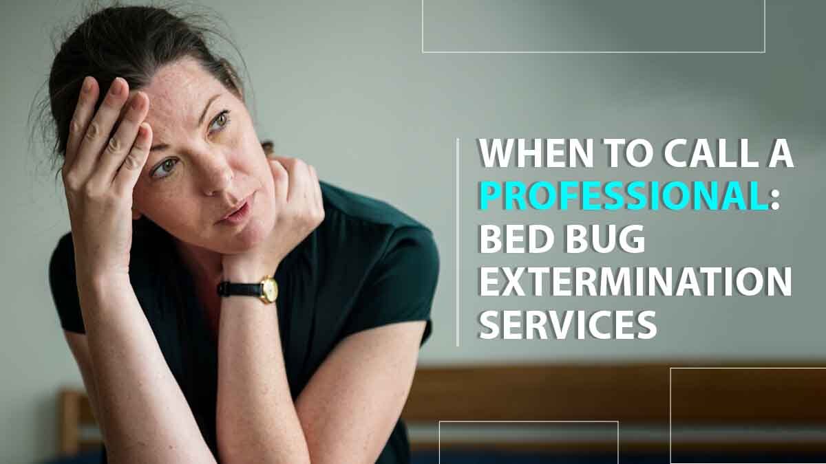 When to Call a Professional: Bed Bug Extermination Services