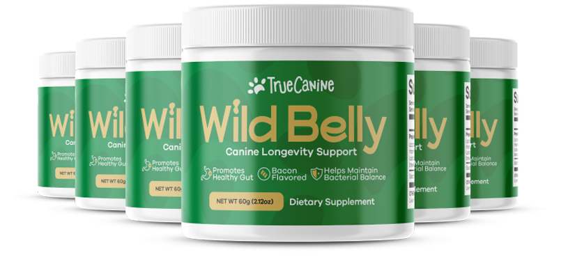 Wild Belly Dog Probiotic: A Natural Way to Improve Your Dog’s Gut Health