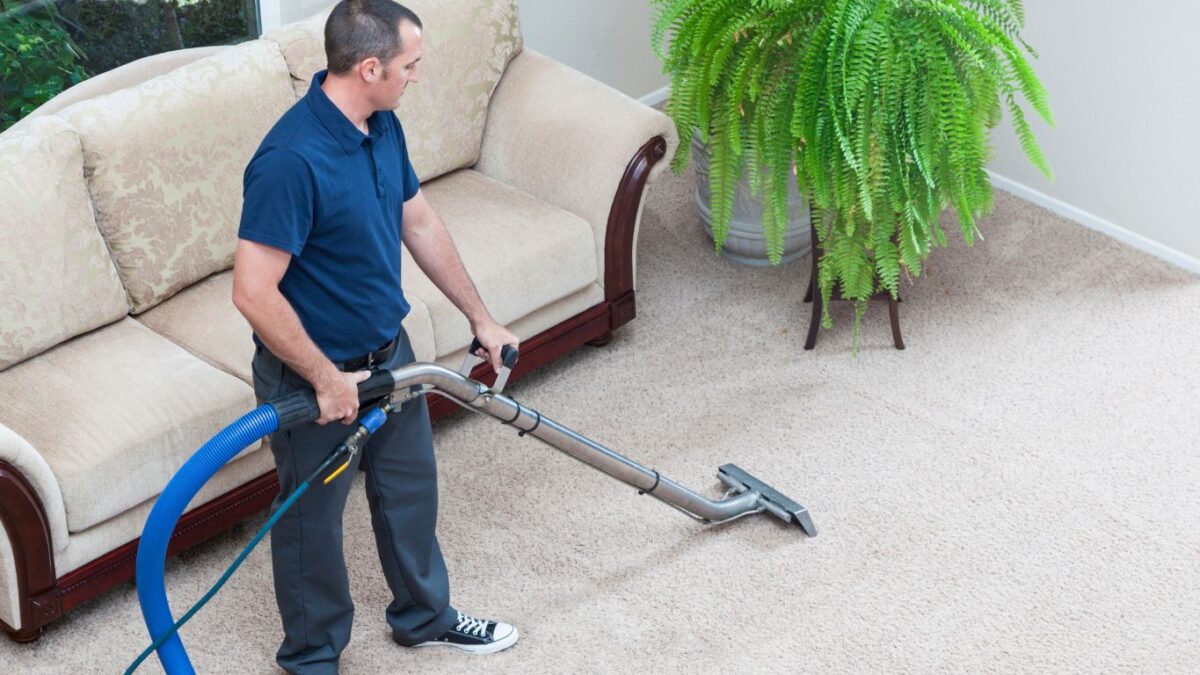 Hiring a Professional Carpet Cleaning Service: What to Look For