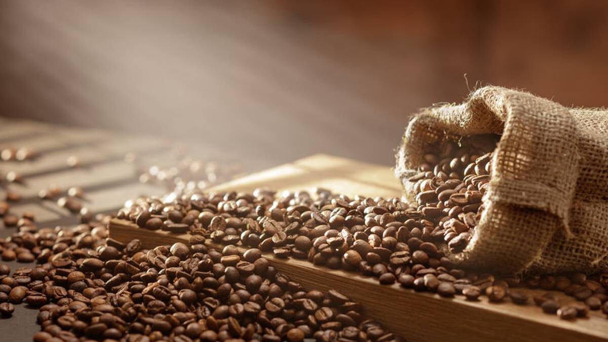 Wholesale Coffee Samples: Try Before You Buy for Your Business