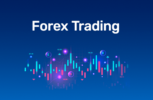 Forex Demystified: Grasping the Fundamentals of Currency Markets