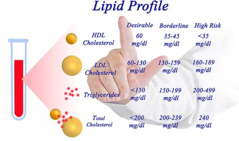 What is Normal Lipid Profile Results?