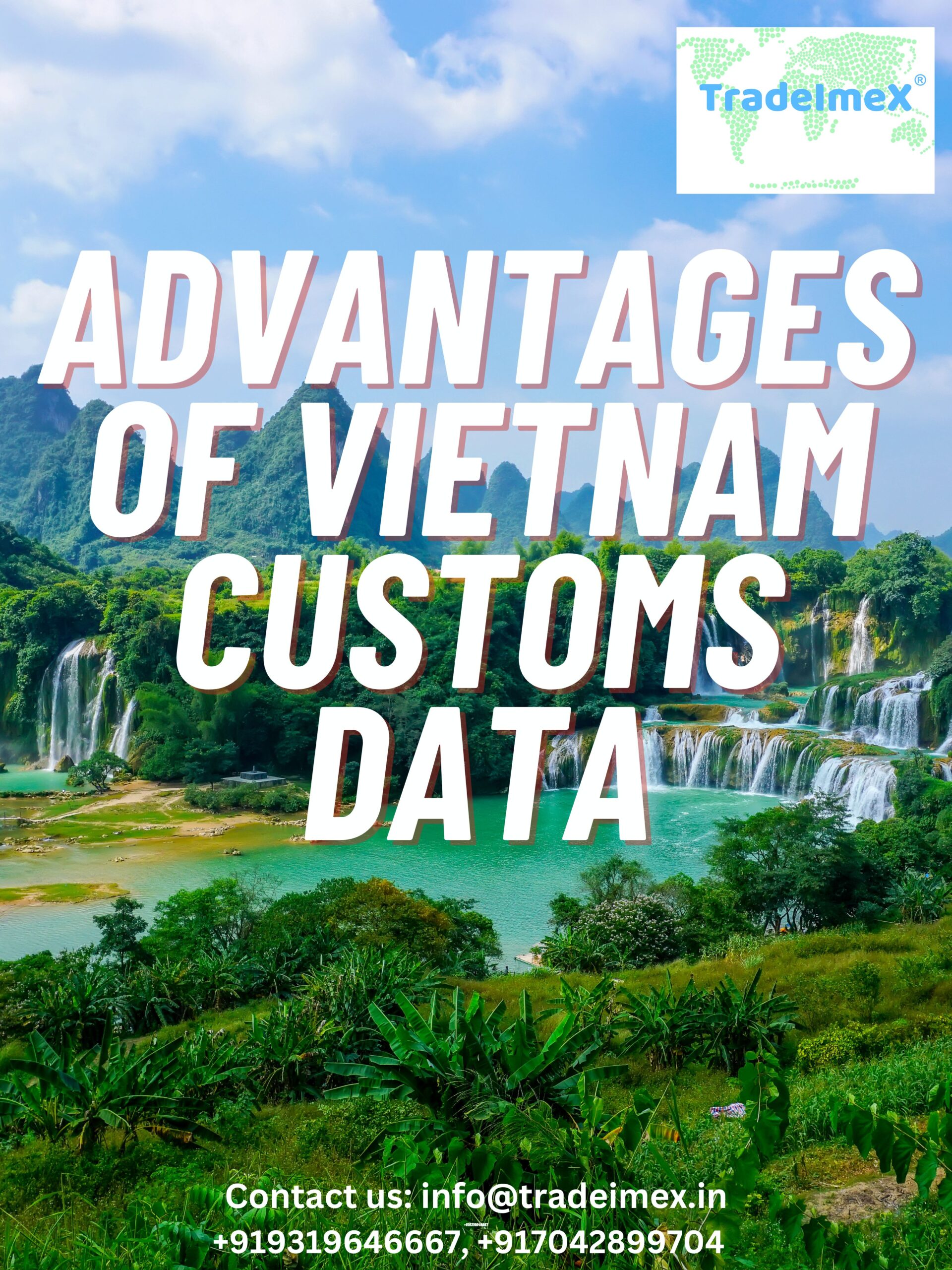 WHAT ARE THE ADVANTAGES OF VIETNAM CUSTOMS DATASET? 