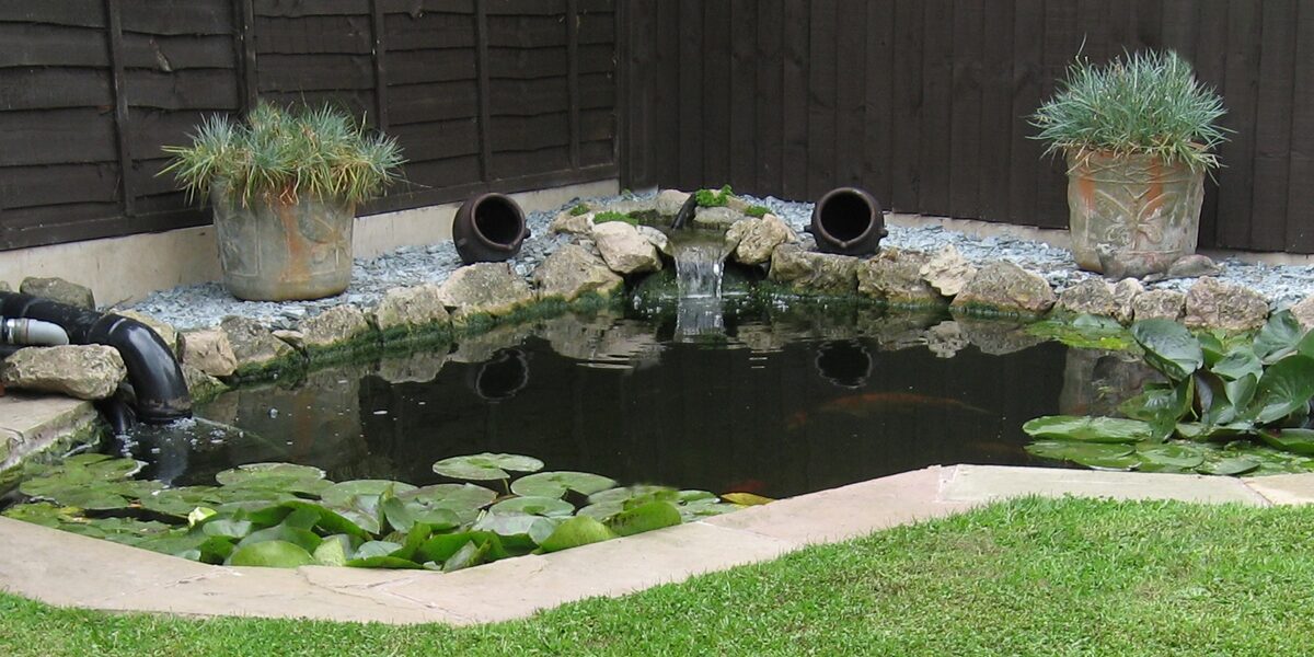 The Future of Pond Filtration: Innovations in EazyPod Technology