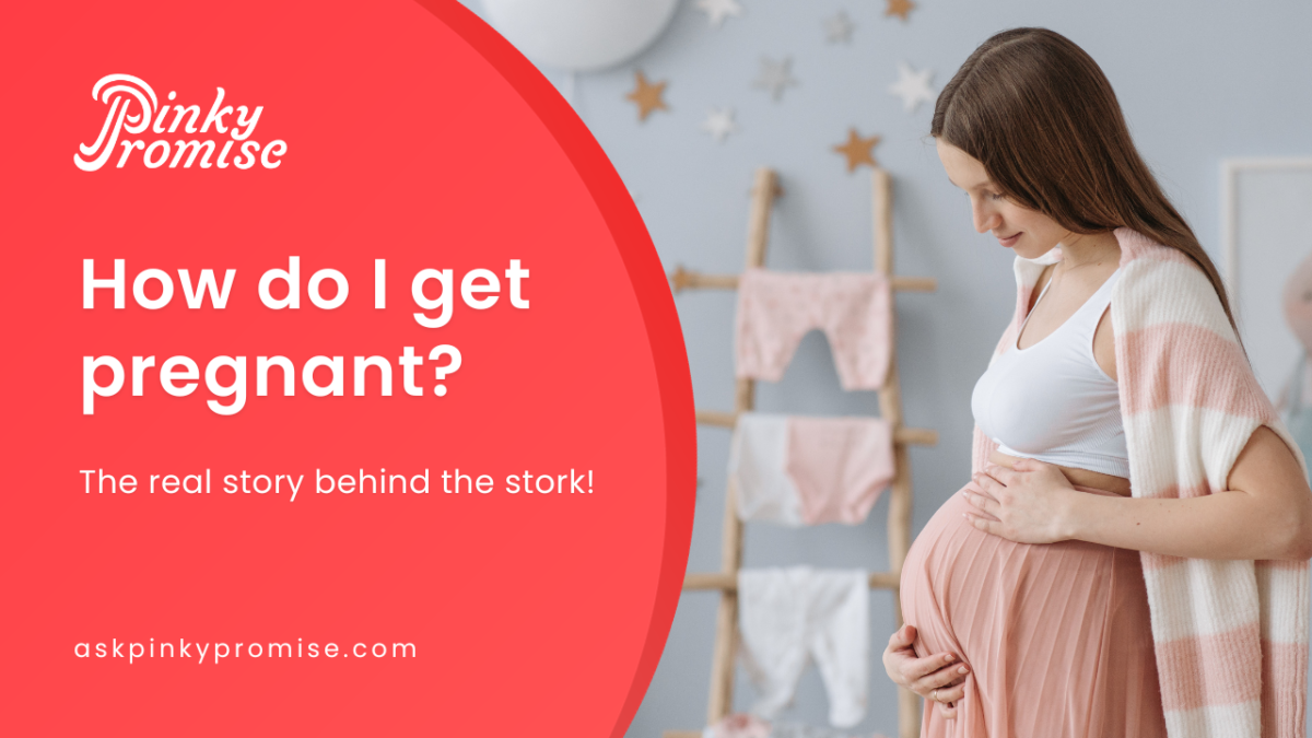 How do I get pregnant? The real story behind the stork!