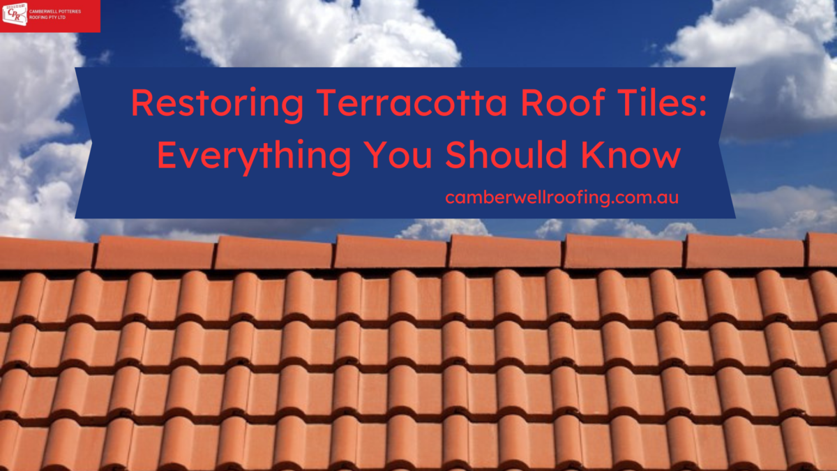 Restoring Terracotta Roof Tiles: Everything You Should Know