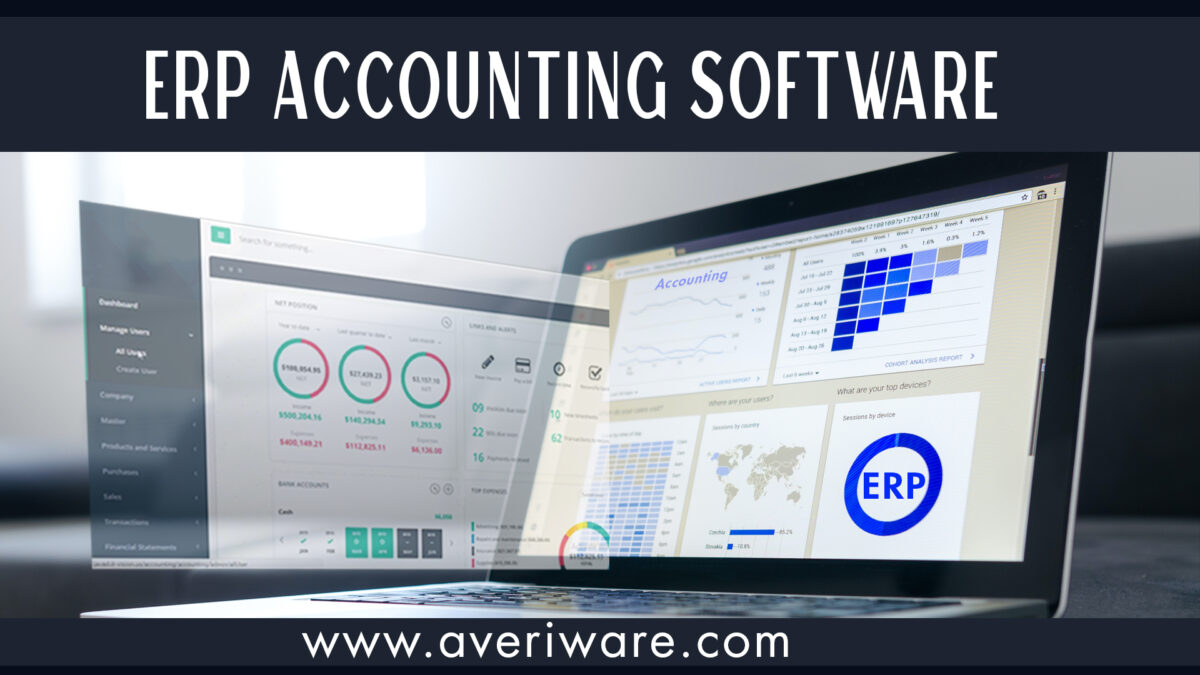 ERP Accounting: A Key to Business Efficiency and Profitability