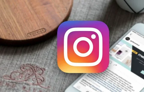 Bulk Instagram PVA Accounts: Unpacking the Pros and Cons