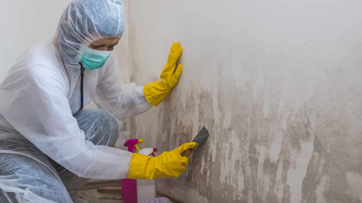Mold Remediation: Protecting Your Home and Health