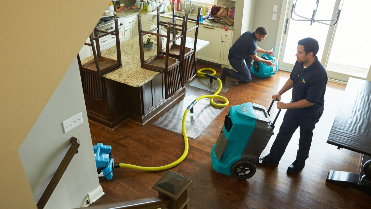 Professional Water Damage Restoration in Raleigh
