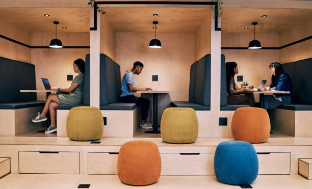 The Evolution of Cubicles: Adapting Workspaces for Modern Professionals