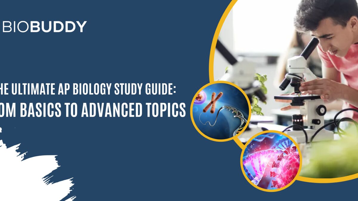 The Ultimate AP Biology Study Guide: From Basics to Advanced Topics