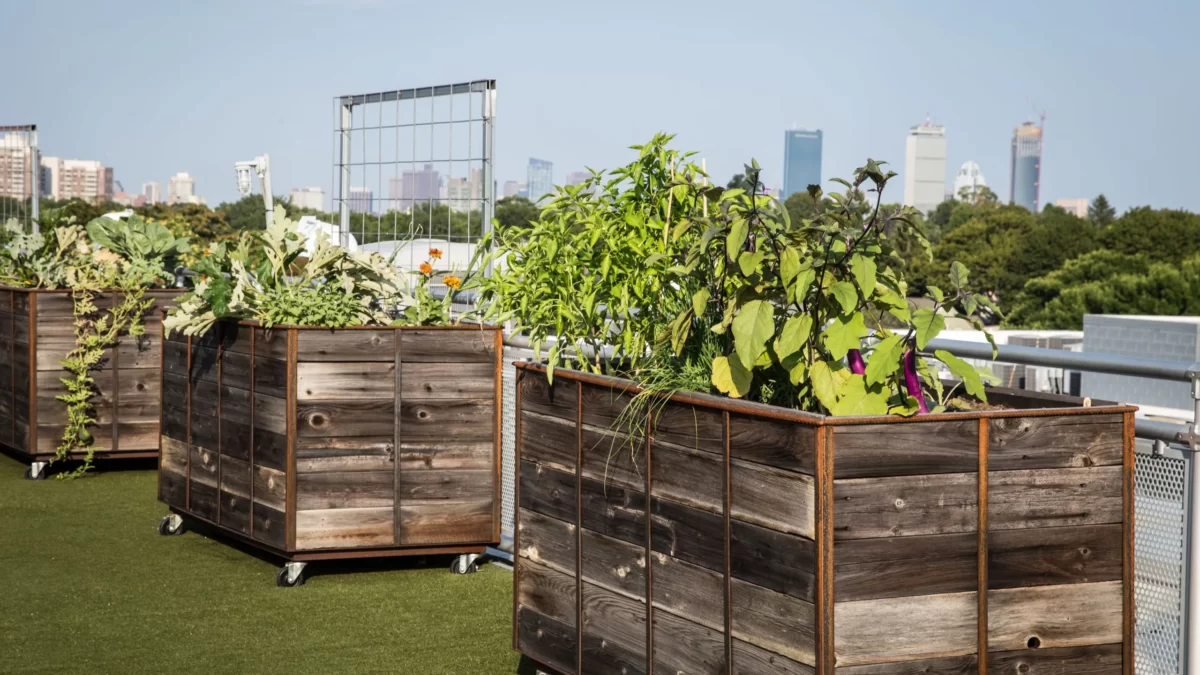 The Modular Container Movement: Pioneering Urban Farming Solutions