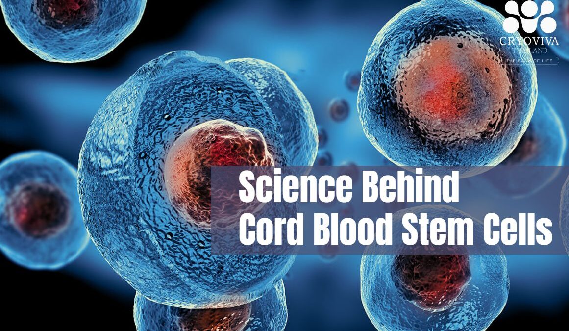Science Behind Cord Blood Stem Cells