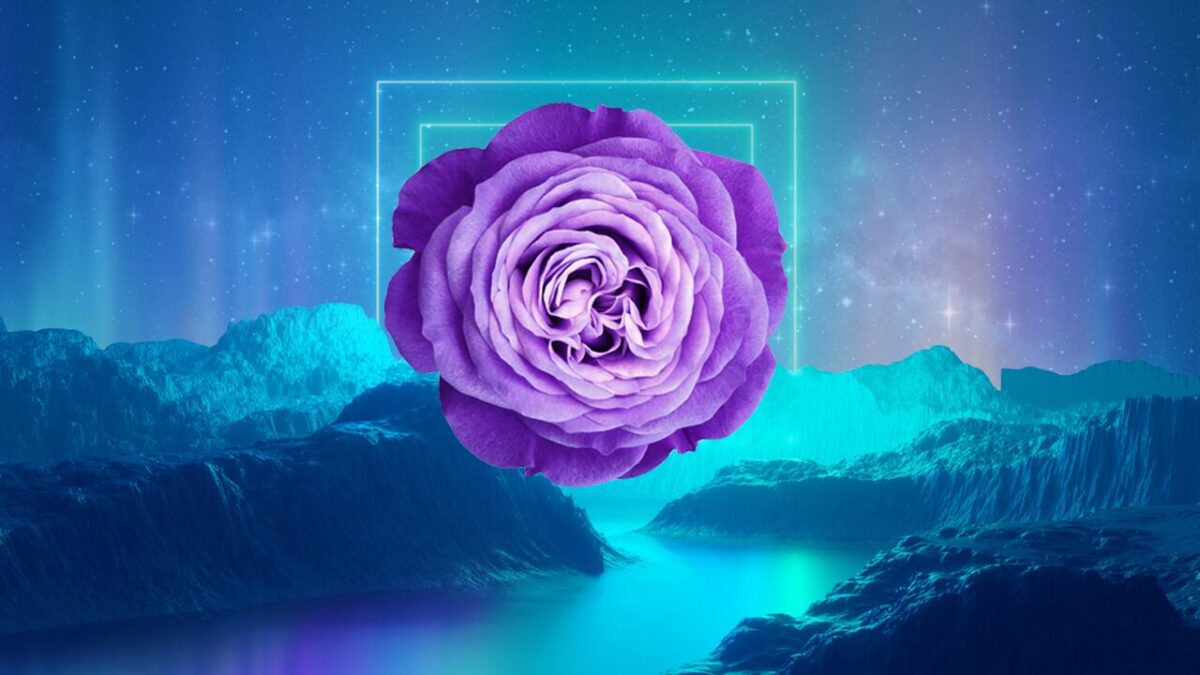 Purple Garden Horoscope: Exploring the Cosmic Connection